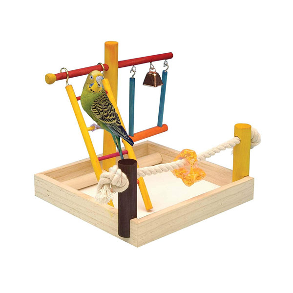 Penn Plax 9'' Wood Bird Play Gym for Table Top & Reviews Wayfair